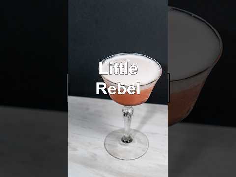 Cover image for How To Make The Little Rebel